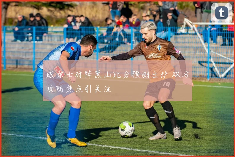 威尔士对阵黑山比分预测出炉 双方攻防焦点引关注