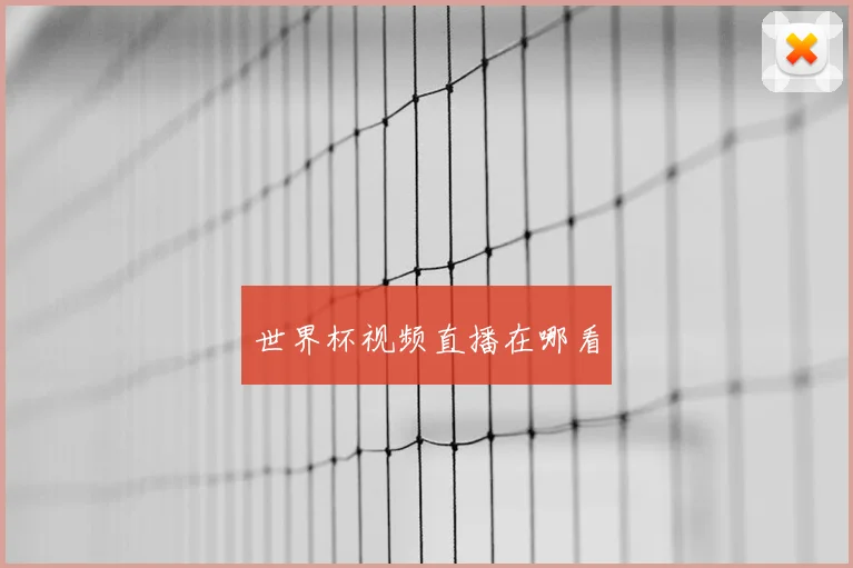 世界杯视频直播在哪看