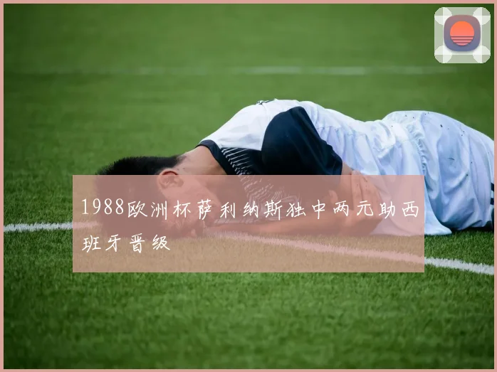 1988欧洲杯萨利纳斯独中两元助西班牙晋级