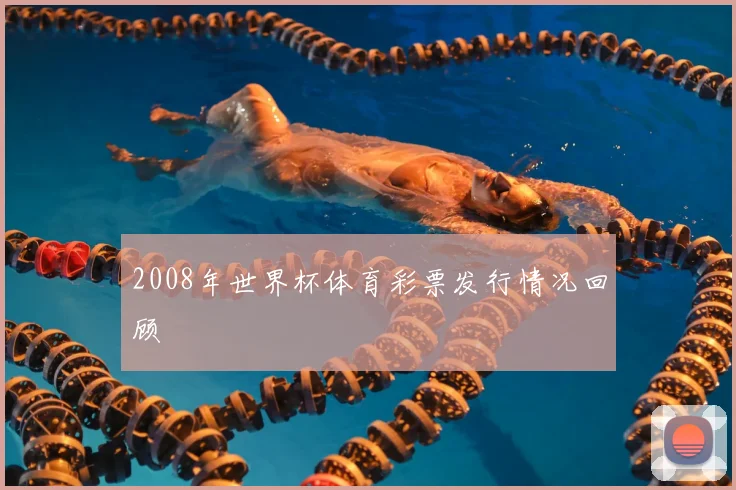 2008年世界杯体育彩票发行情况回顾