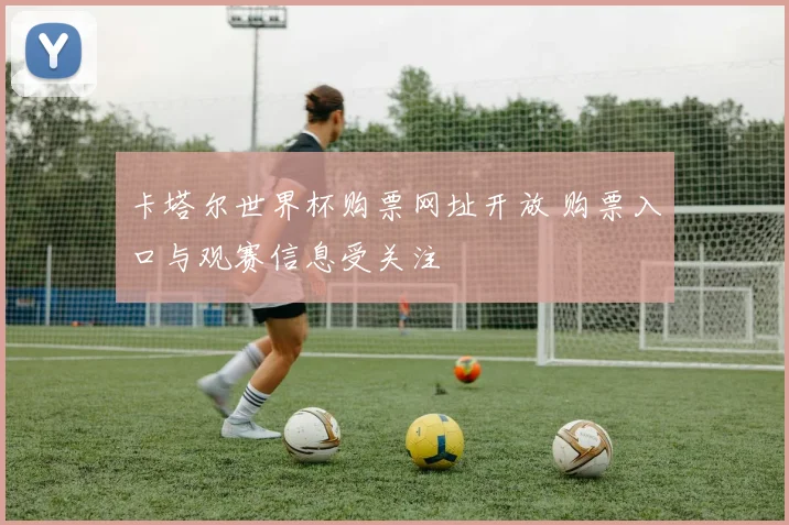卡塔尔世界杯购票网址开放 购票入口与观赛信息受关注