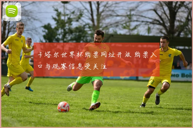卡塔尔世界杯购票网址开放 购票入口与观赛信息受关注