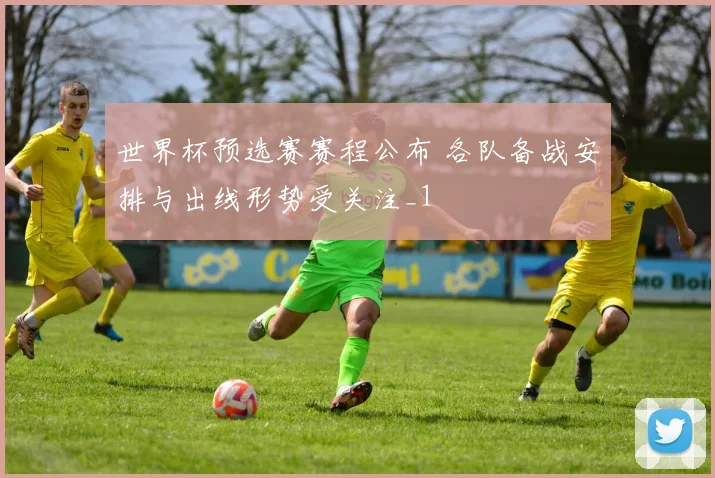 世界杯预选赛赛程公布 各队备战安排与出线形势受关注_1