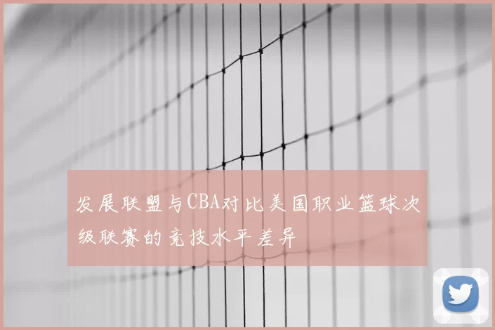 发展联盟与CBA对比美国职业篮球次级联赛的竞技水平差异