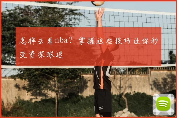 怎样去看nba？掌握这些技巧让你秒变资深球迷