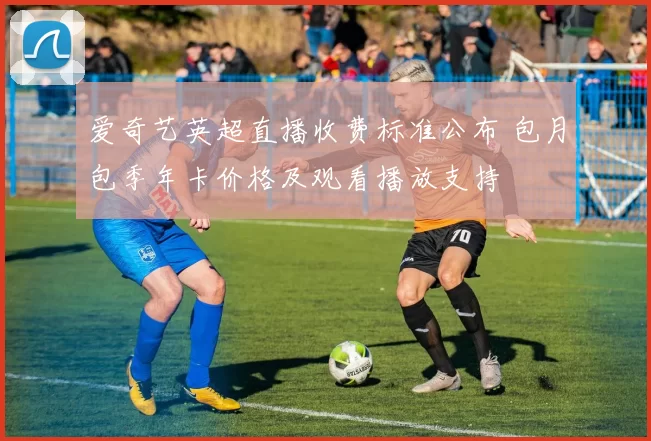 爱奇艺英超直播收费标准公布 包月包季年卡价格及观看播放支持