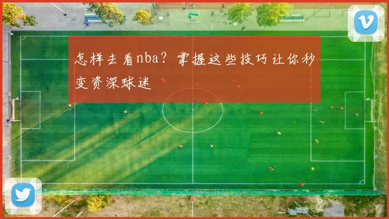 怎样去看nba?掌握这些技巧让你秒变资深球迷